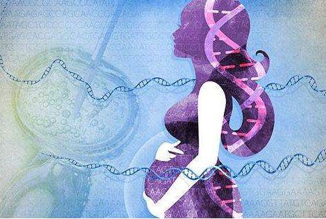 李雪梅